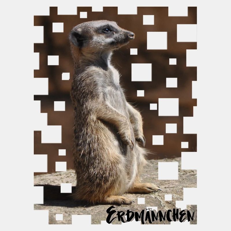 Erdmännchen