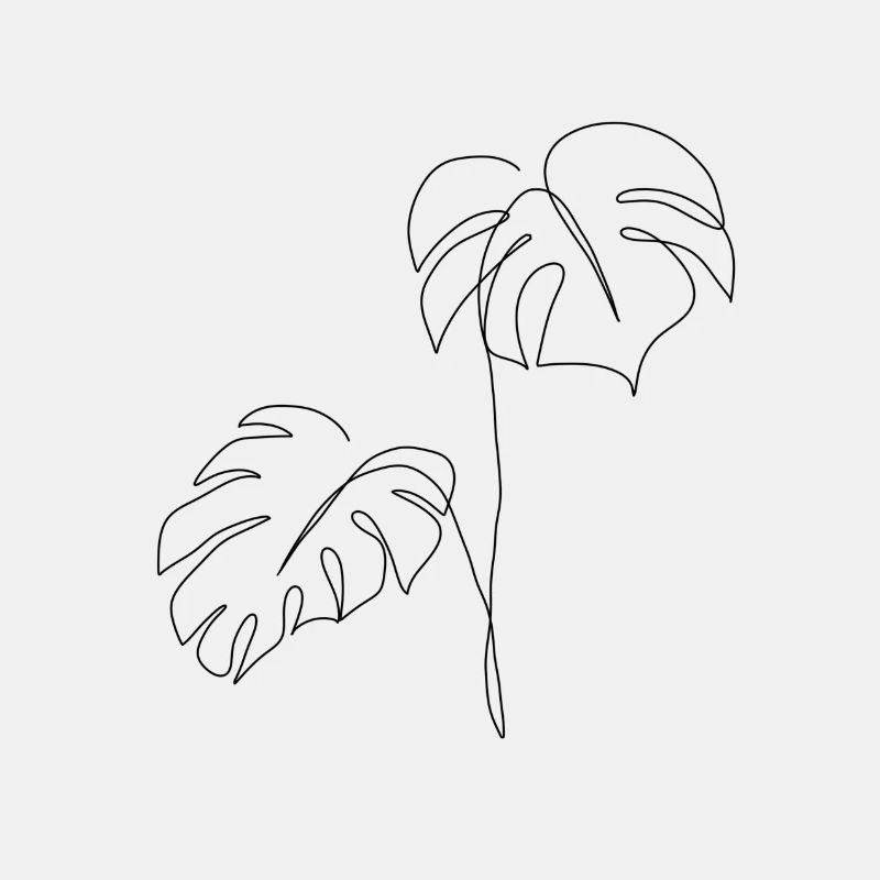 Monstera