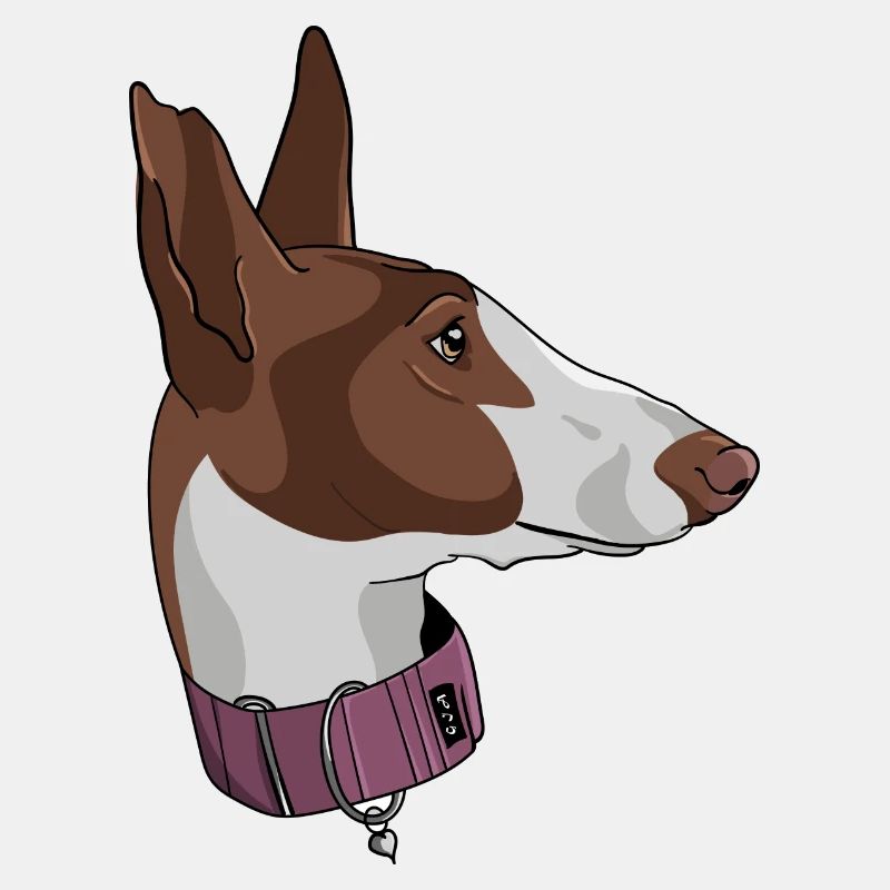 Podenco Canario