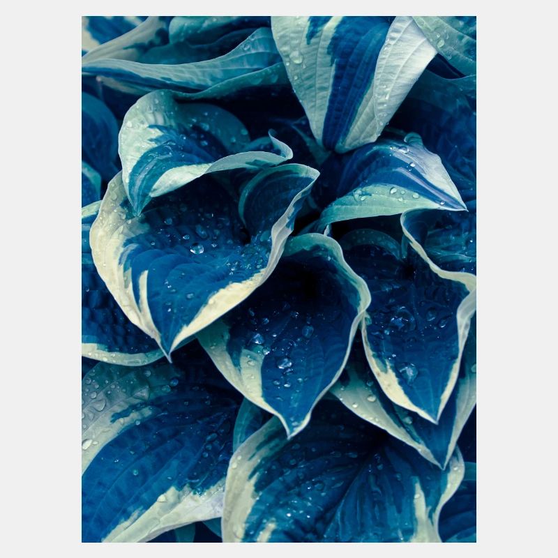 bunt in Blau