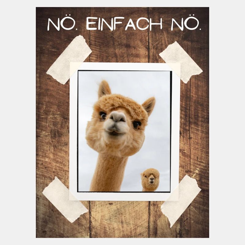 NÖ Einfach NÖ