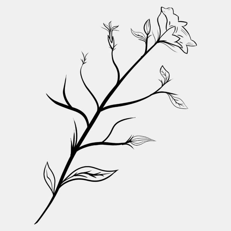 Zarte Blume