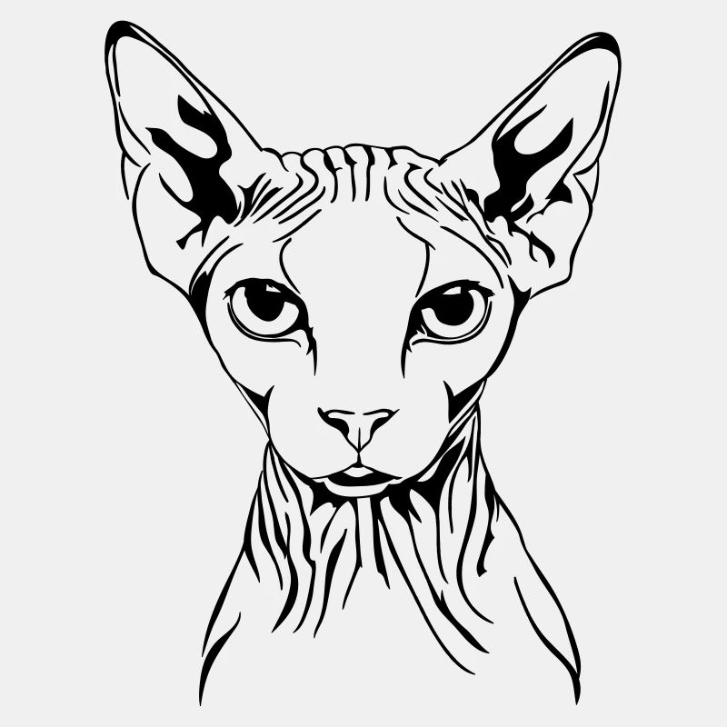 Portrait de chat SPHYNX race de chat chat Wilsigns