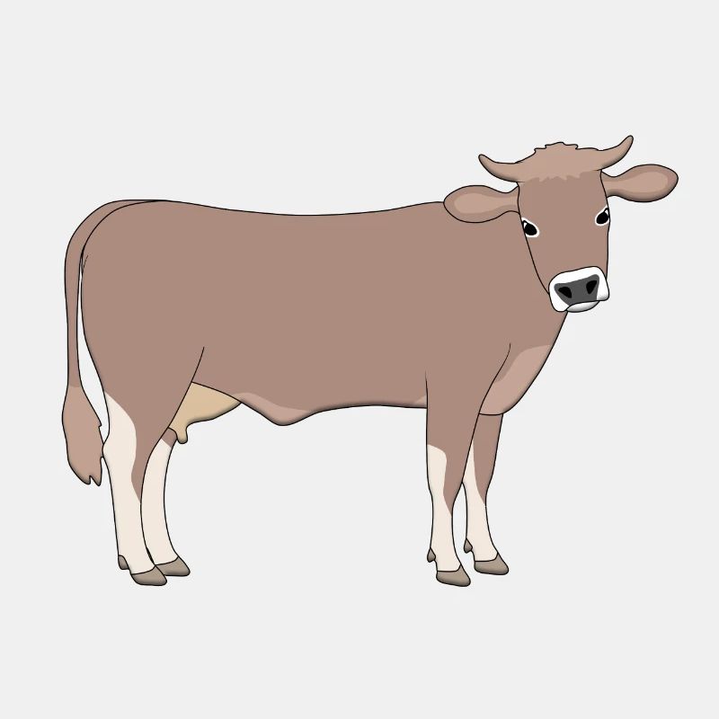 Braunvieh