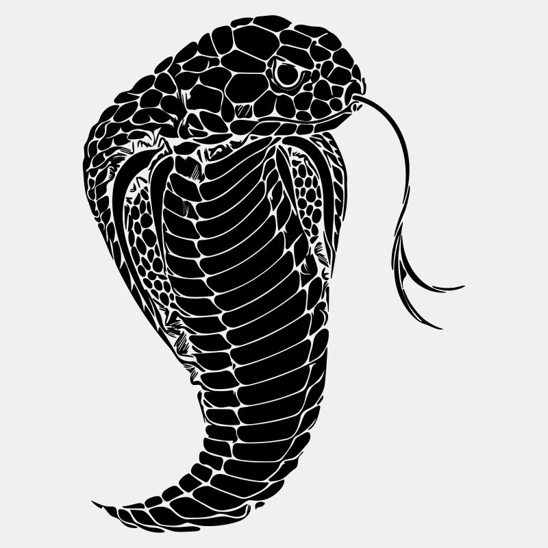 Serpent cobra serpent cobra