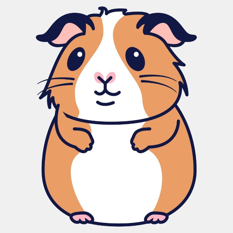 Meerschweinchen