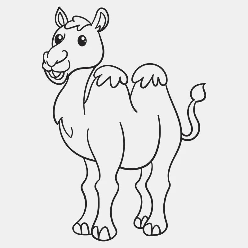 Kamel, Kamele, Geschenk, Geschenkidee