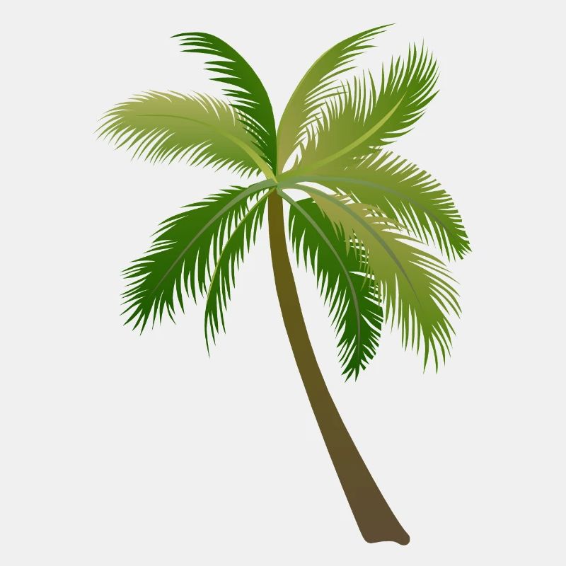 palm tree palm palms