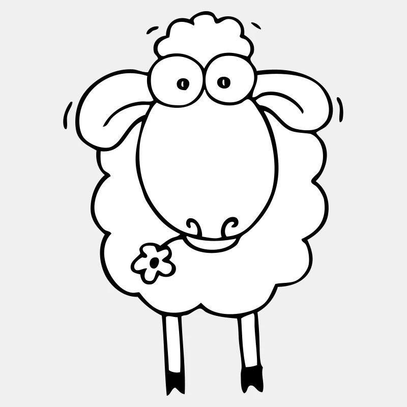 Sheep white