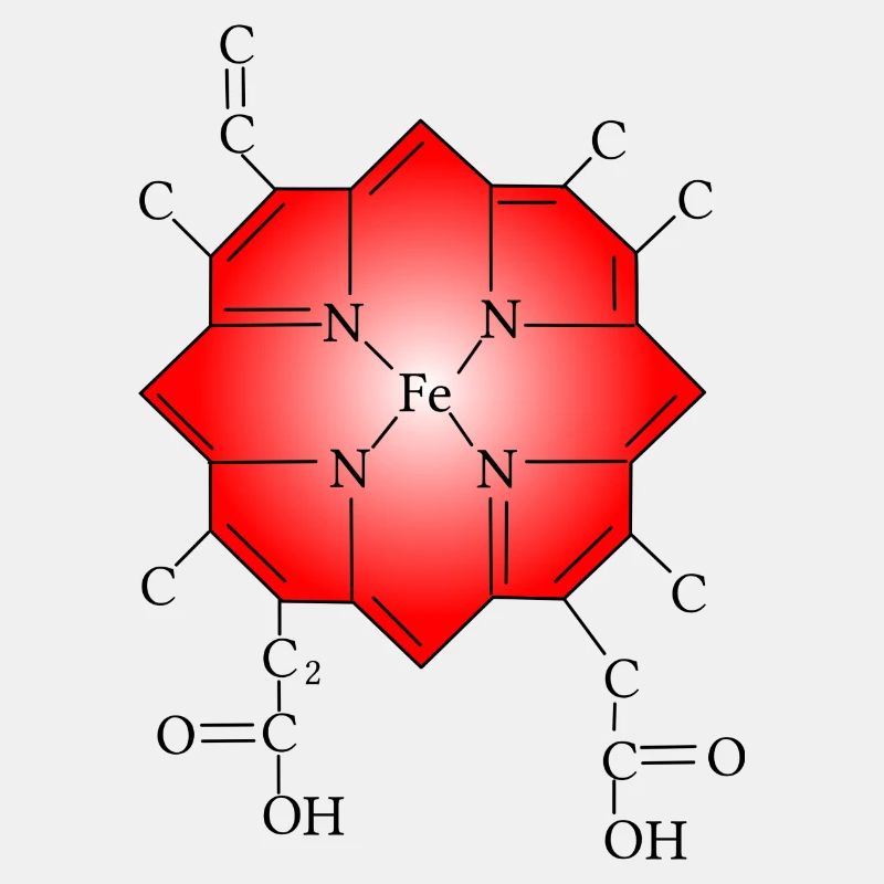 Hämoglobin