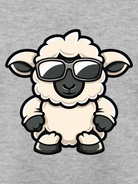 sheep animal