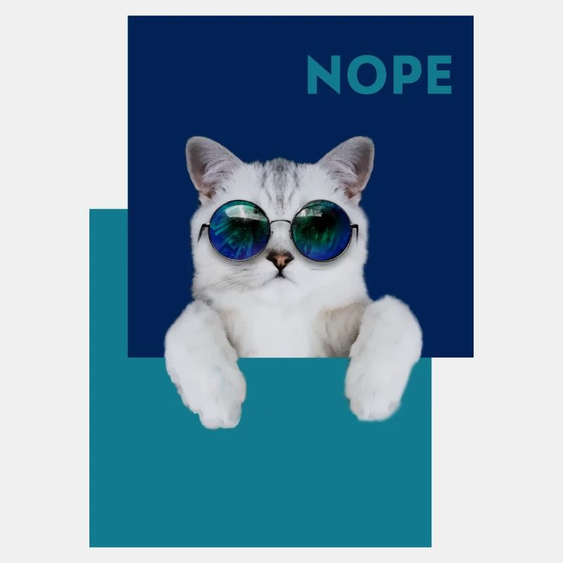 Katze Nope