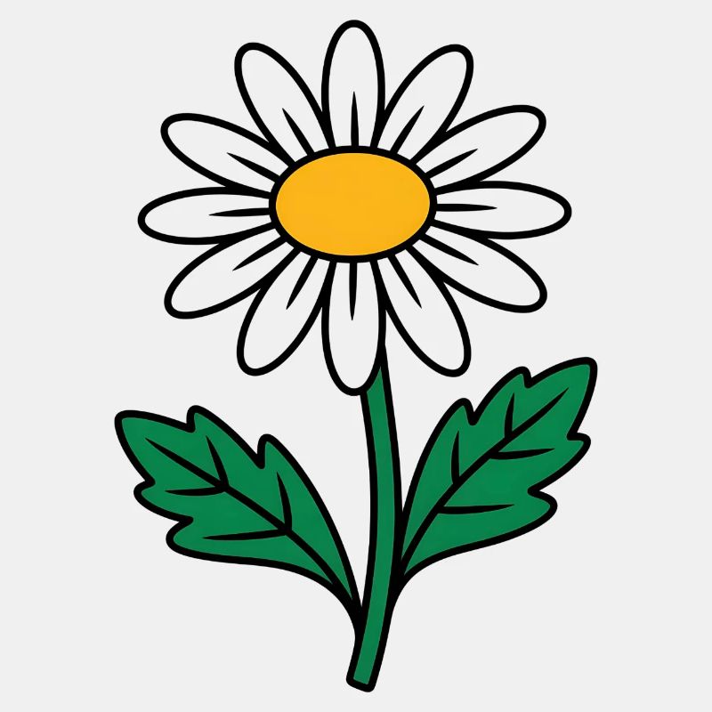 Gänseblümchen