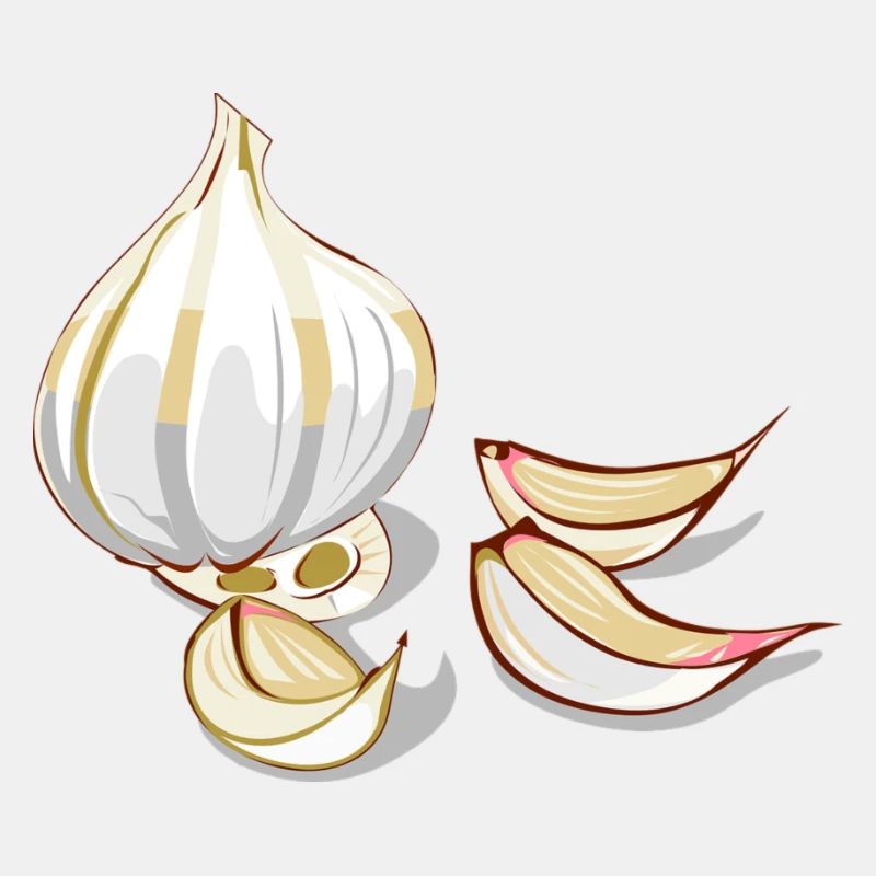 Knoblauch