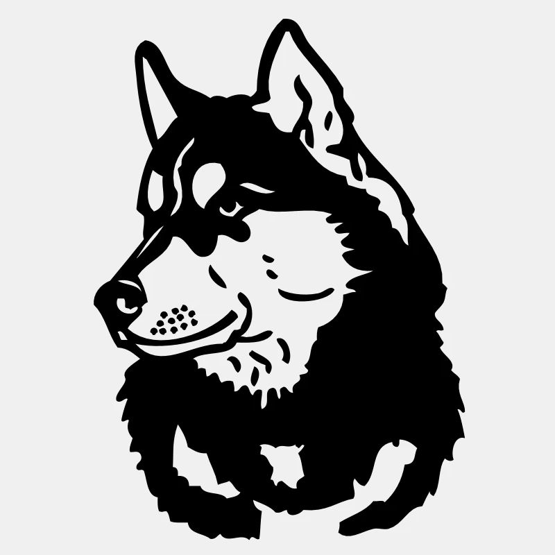husky - www.dog-power.nl