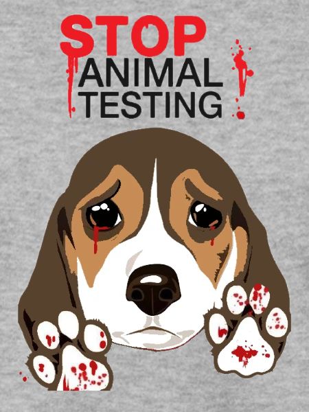 STOP ANIMAL TESTING
