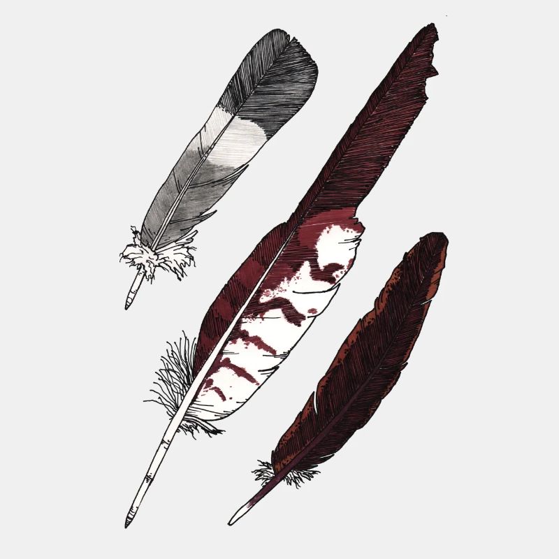 Feather Collection - Three Feathers Hand Drawn