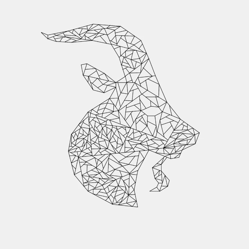 Capricorne
