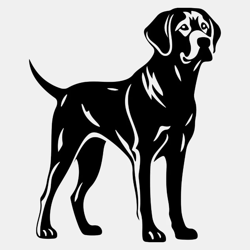 Chien Labrador