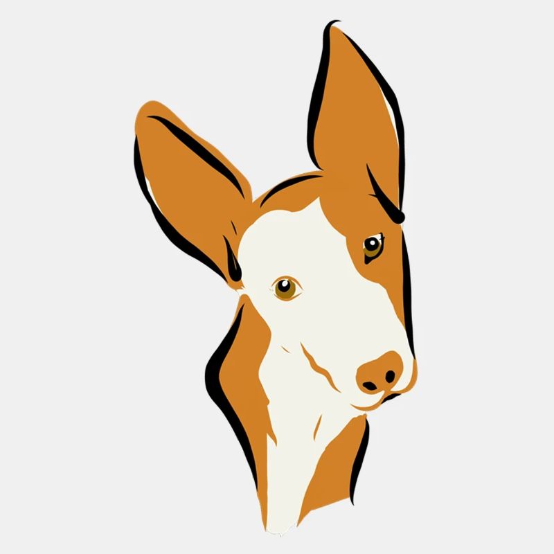 Podi