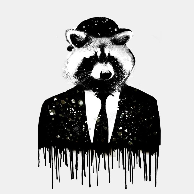 waschbär,bär,graffiti,malerei,anzug