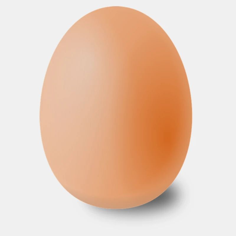 Bel oeuf