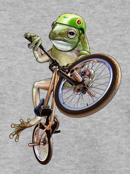 frog bmx