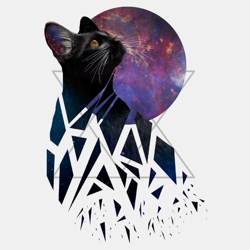 Chat de l’espace - série d’animaux de l’espace