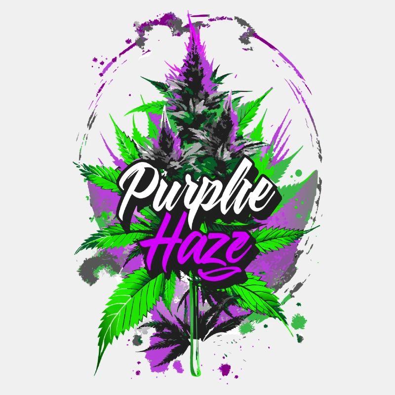 Purple H4ze