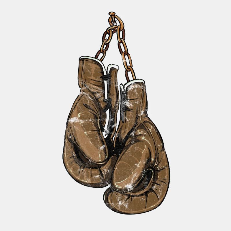 Boxer Handschuhe