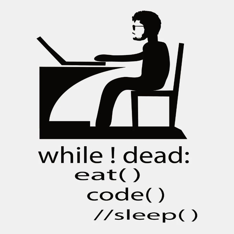 Softwareentwickler Programmierer Geschenk