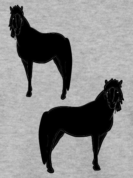 Haflinger in Schwarz