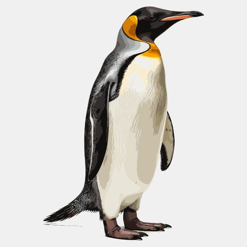 majestätischer Königspinguin