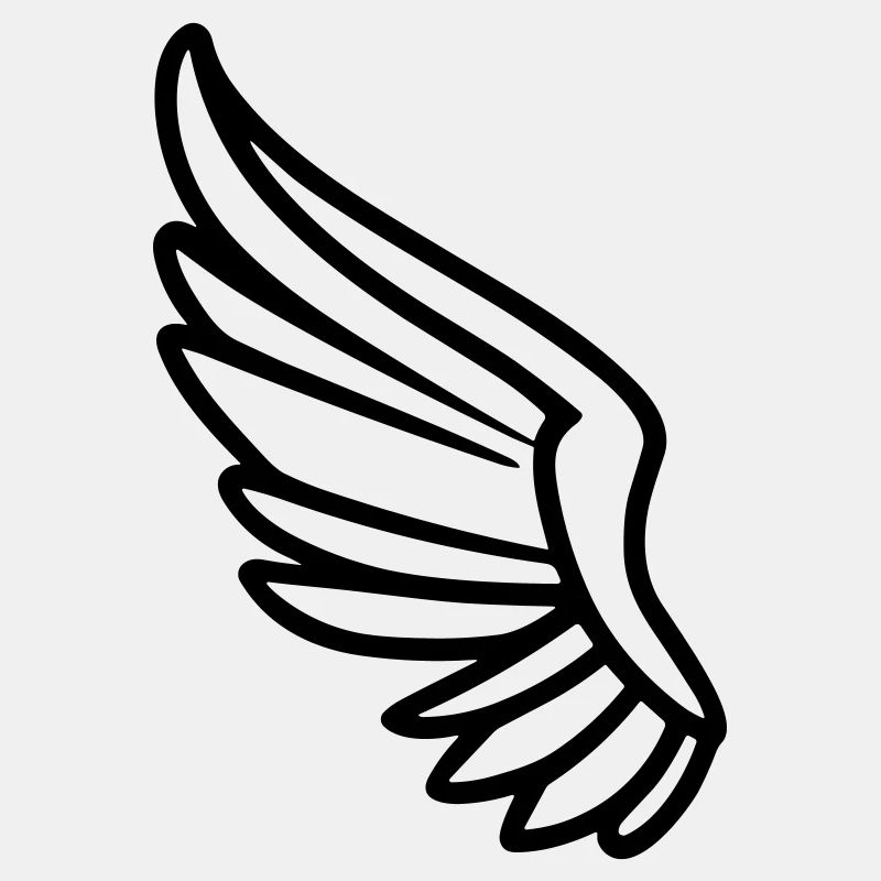 Ailes d'ange