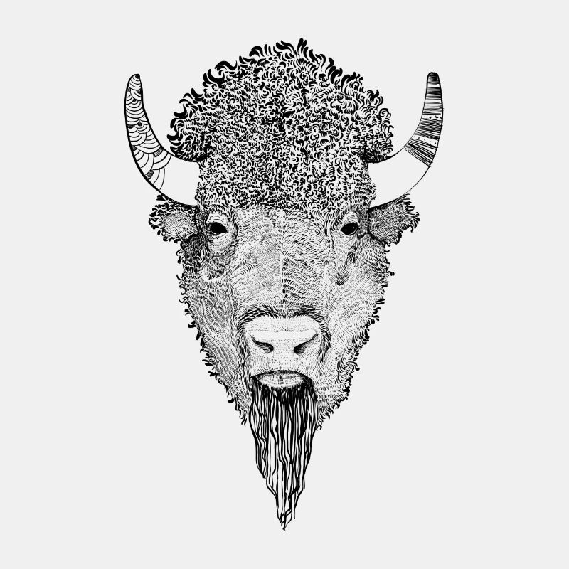 American bison