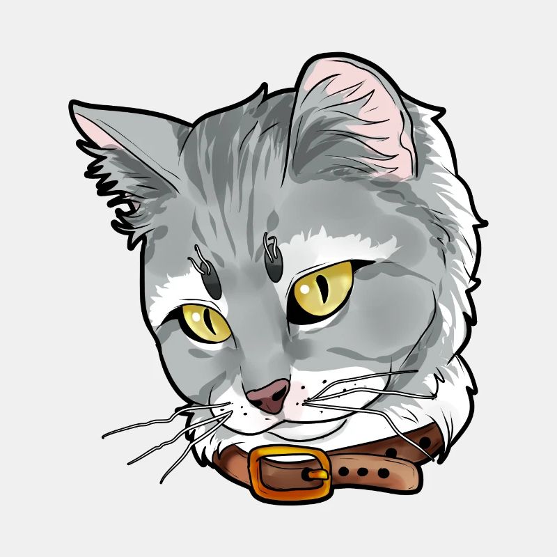 Siberian cat Sibérien Chat Visage De Chat Amour