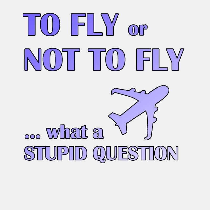 To fly or not fly pilot