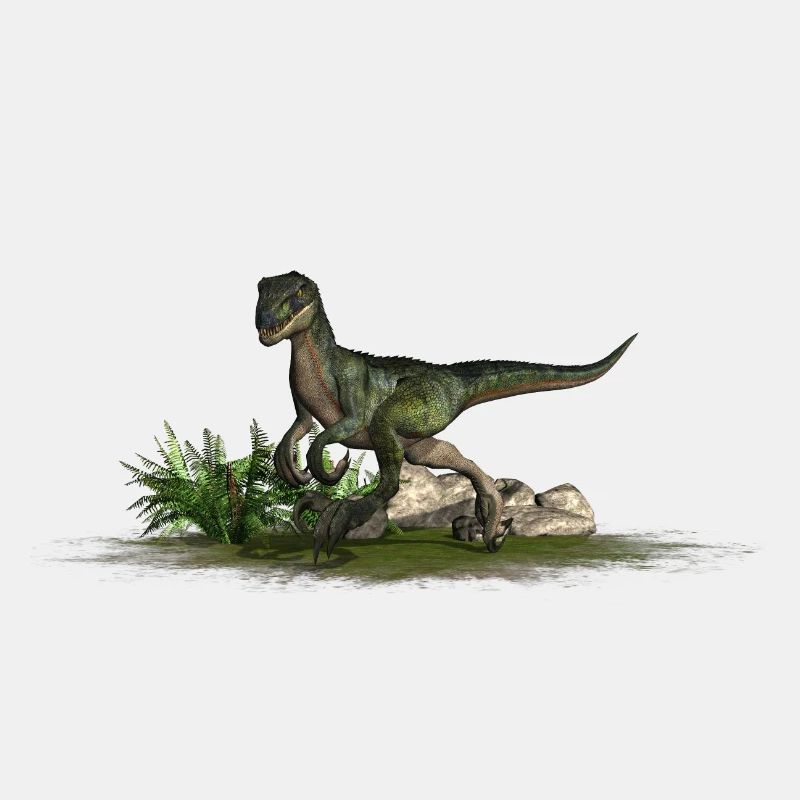 Velociraptor fleischfressender Dinosaurier Dino