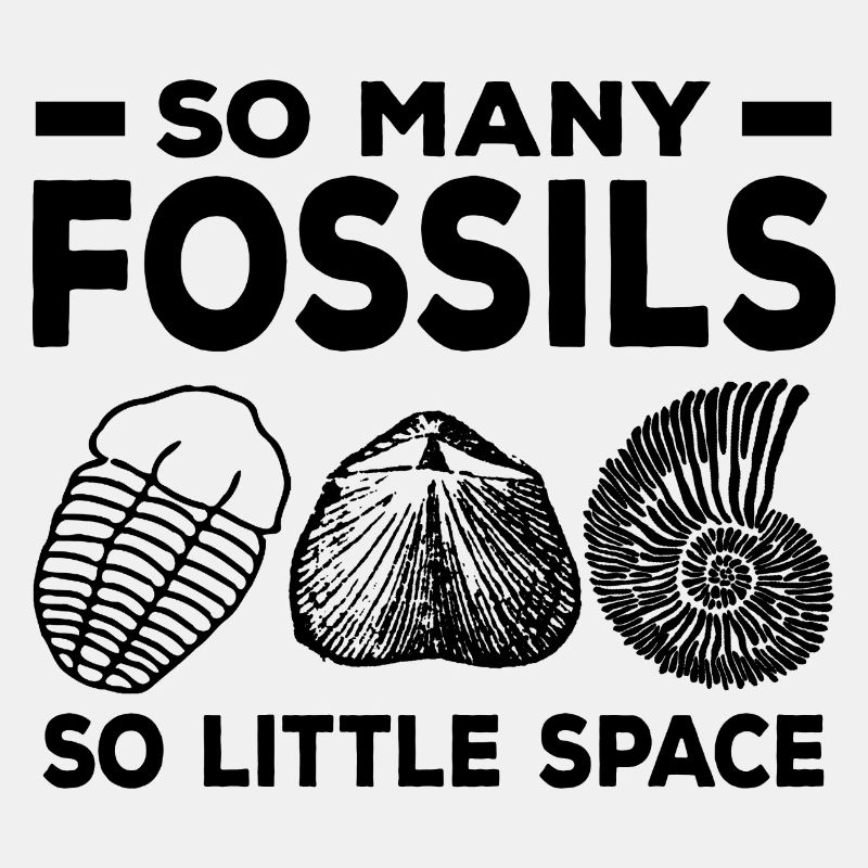 Fossilien Sammeln
