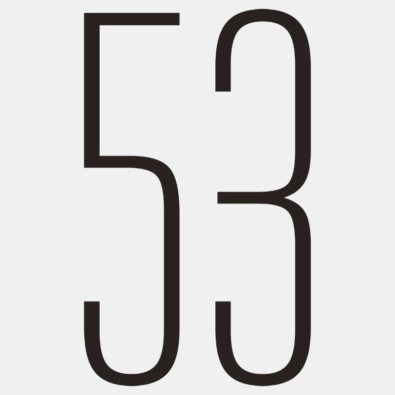 53