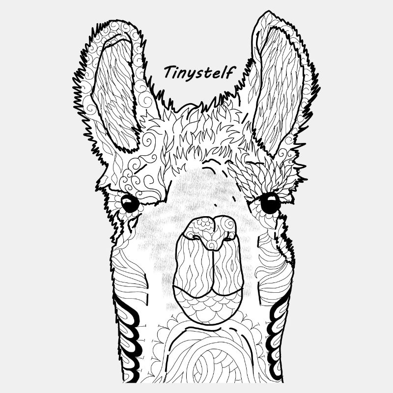 Lama