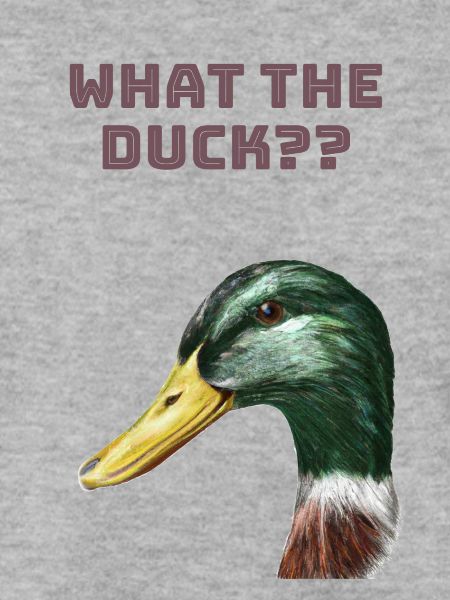 What the duck?