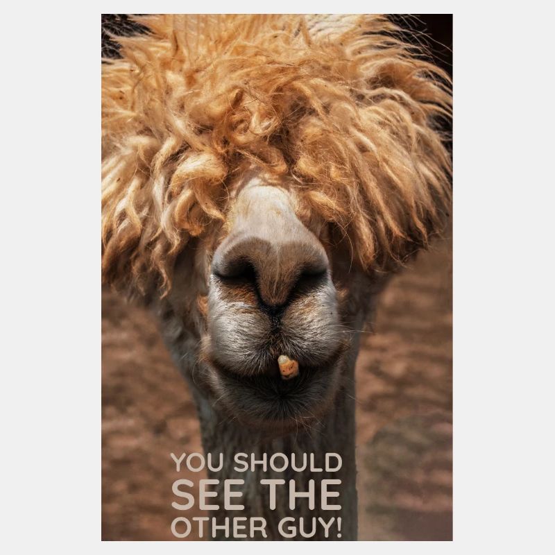 Lama-Drama