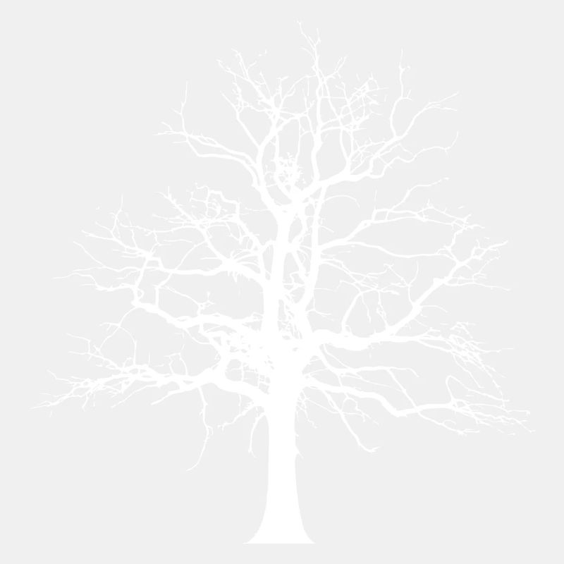 Arbre hiver automne