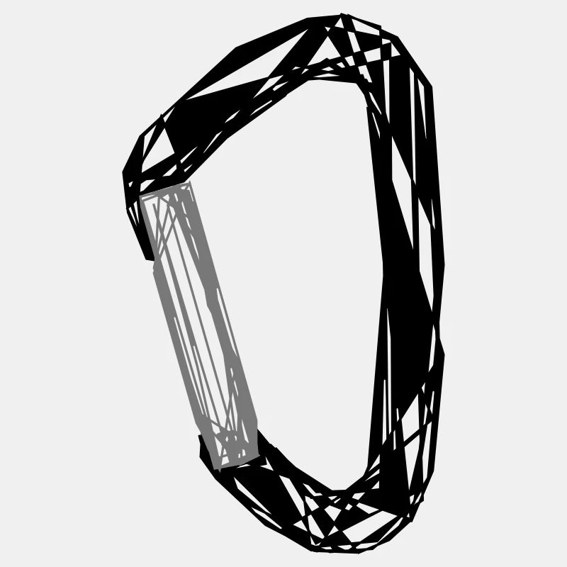 Karabiner