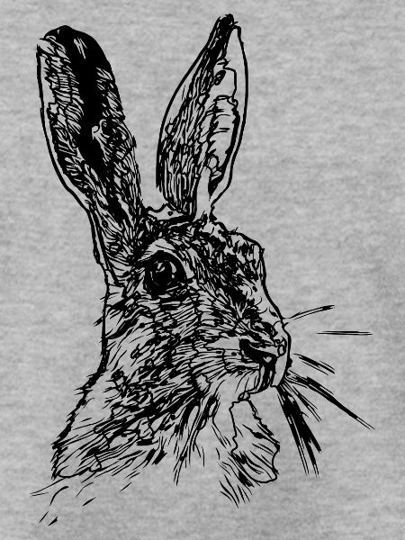 Hase oder Feldhase Strichzeichnung