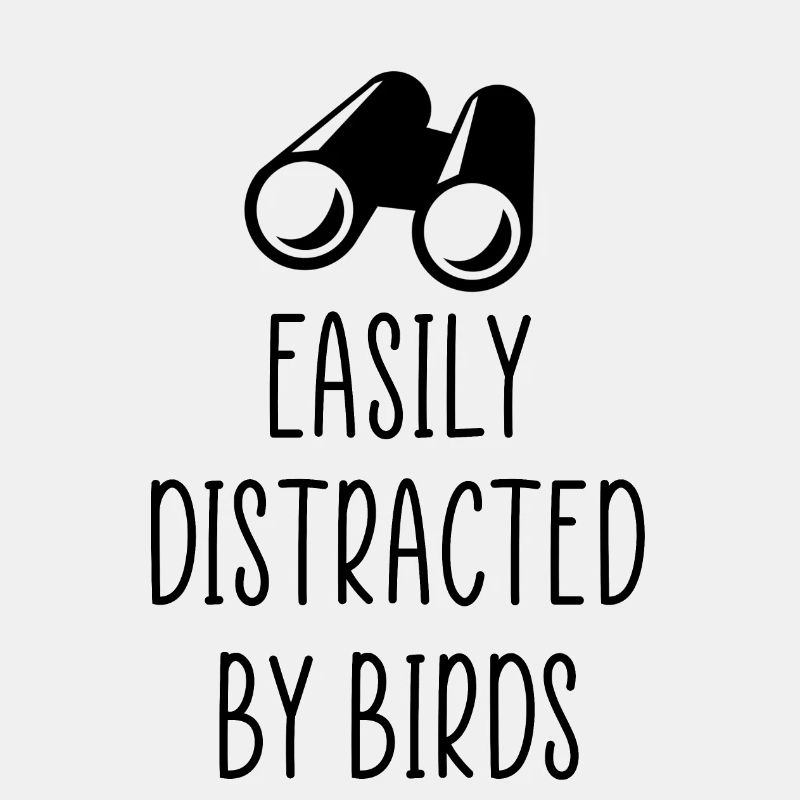 observation des oiseaux