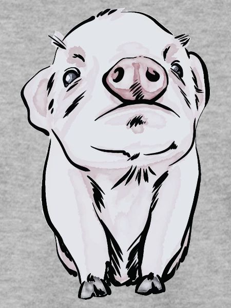 Baby Schwein