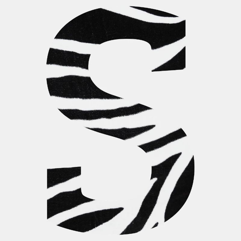 Buchstabe s Zebra