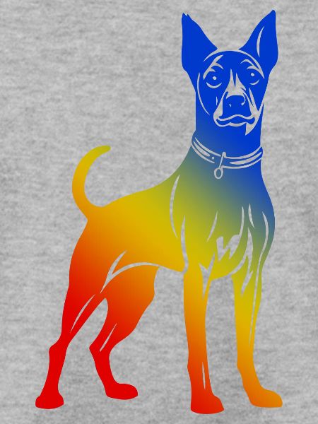 Pinscher Hund